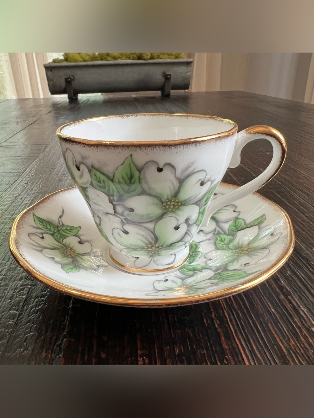 Salisbury Dogwood tea cup & saucer porcelain coffee floral white Jonroth blossom